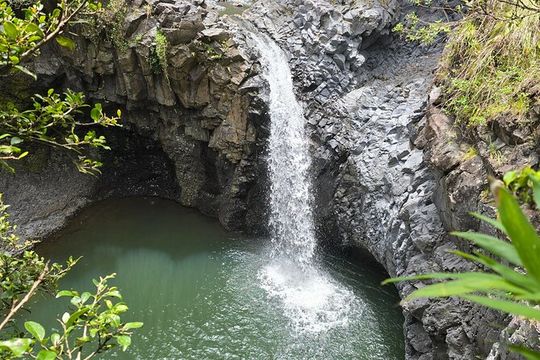 Private Road to Hana Tour with Pickup-Ultimate Package, Backside