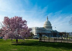 Washington DC Private Scavenger Hunt Tour