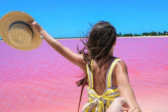 Rio Lagartos and Las Coloradas Day Tour from Cancun