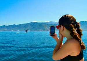 Whale Watching and Los Arcos 5 Islands Adventure