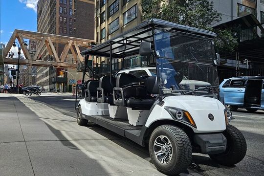 NYC: New York City & Landmarks Christmas City Tour Covered Cart
