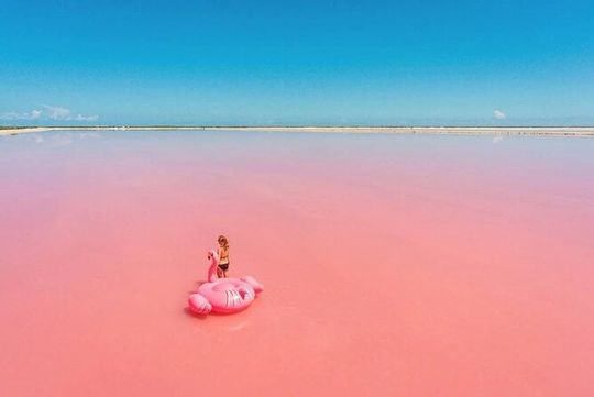 Full Day Tour from Cancun Rio Lagartos and Las Coloradas