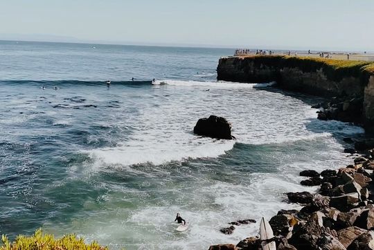 San Francisco to Santa Cruz Day Trip: Redwoods and Beach Fun