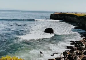 San Francisco to Santa Cruz Day Trip: Redwoods and Beach Fun