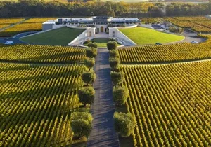 Private Tour to Caymus Vineyards and Opus One Wine Experience