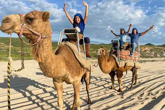 Small Group Private Camel Ride and Beach Adventure in Migrino