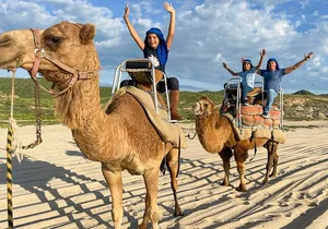 Small Group Private Camel Ride and Beach Adventure in Migrino