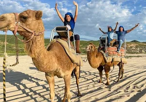 Small Group Private Camel Ride and Beach Adventure in Migrino