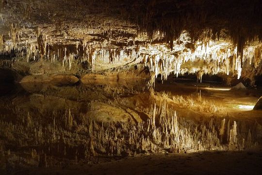 Luray Caverns, VA Private Tour