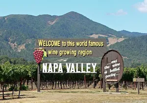 Napa and Sonoma Small Group Max 12 Wine Tour from San Francisco
