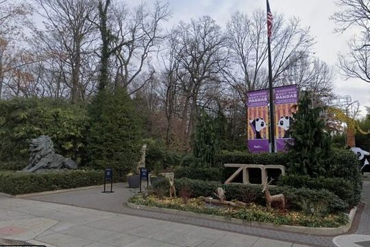 National Zoo Self Guided Scavenger Hunt