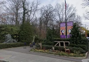 National Zoo Self Guided Scavenger Hunt