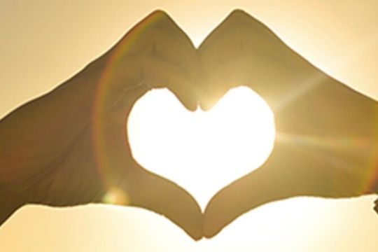 Private Miami Boat Tour to Biscayne Bay and Millionaire’s Row