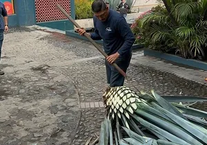 Tequila Experience History Flavor and Tradition