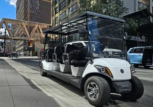 NYC: New York Christmas & Landmarks Guided City Tour by E-Cart