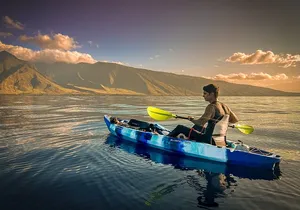 Golden Hour Kayak And Whale Watch