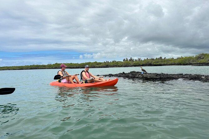 9-Day Galapagos Island Hopping Tour