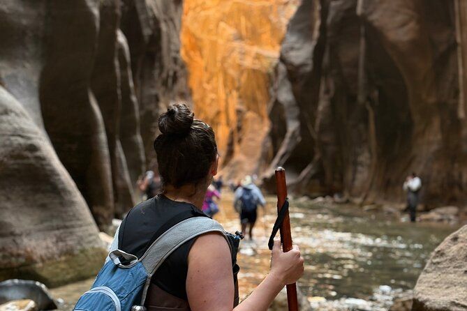 Zion National Park: Private Narrows Hike (gear Included)