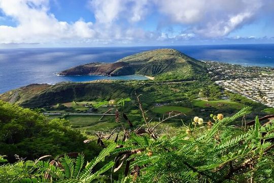 Koko Head Crater Hike and Halona Beach Cove Relaxation