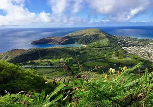 Koko Head Crater Hike and Halona Beach Cove Relaxation
