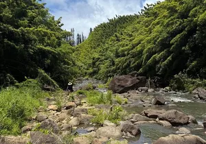 Private Instagram Tour of Maui