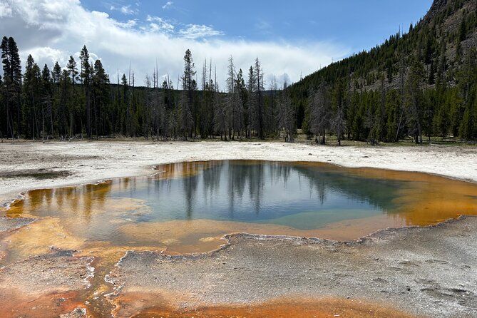 Yellowstone Park Private Customizable Tour from Jackson Hole