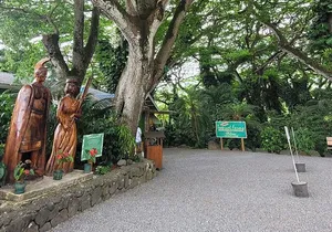 Circle Island 8hr Private Small Group Tour