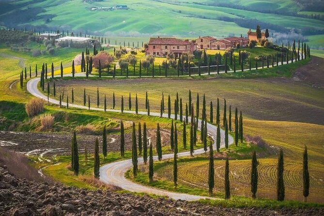 Private Montepulciano and Pienza Tour
