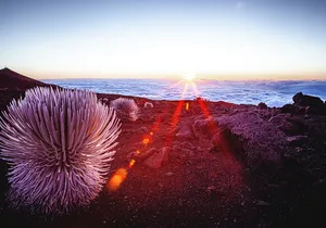 Haleakala Volcano & Ocean Vodka Sunset Tour
