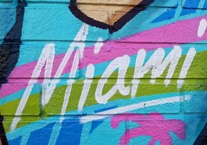 Wynwood Neighborhood Art Walk Self-Guided Tour of Murals