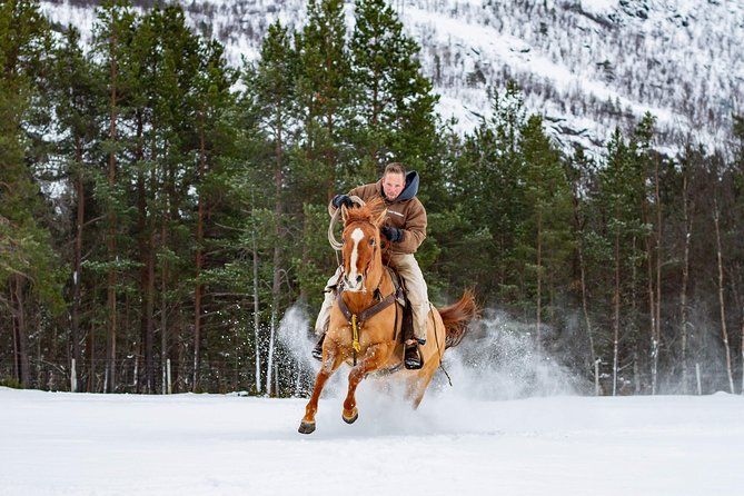 Horseback riding