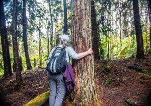 Kona Cloud Forest Sanctuary Pantropical Tour (1.5 hrs)