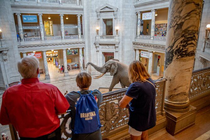 Best of Washington DC: Ultimate Custom Private Tour