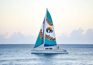 Waikiki Catamaran Snorkel Sail: Turtles Guaranteed