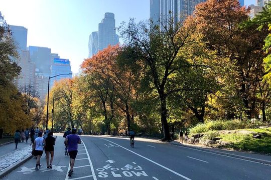 Explore Central Park and Tour Along the Marathon Path
