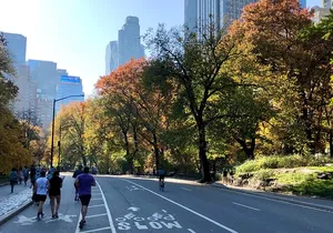 Explore Central Park and Tour Along the Marathon Path