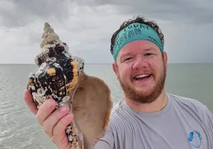 Naples Keewaydin Shelling Dolphin and Beach Tours