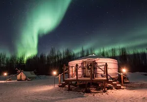 Alaskan Escape: Aurora Viewing & Dog Sledding Adventure Fairbanks