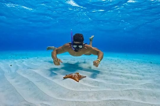 Cozumel: Snorkel at El Cielo, Colombia Reef & Palancar Reef
