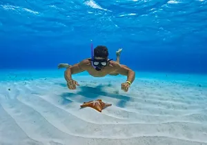 Cozumel: Snorkel at El Cielo, Colombia Reef & Palancar Reef