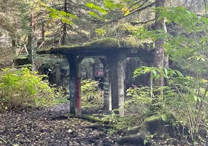 Historical Walking Tour of Abandoned Gold Rush Era City with AR