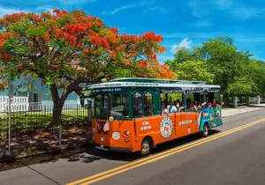 Discover Key West in a Day : Sun, Sea and Paradise