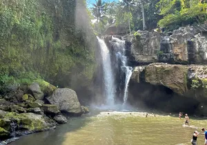 Best Of Ubud Half Day Private Guided Tour