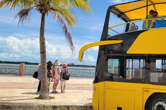 Cancun Cultural City Tour from Costa Mujeres