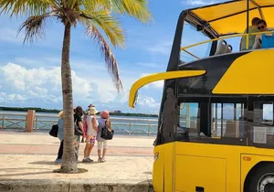Cancun Cultural City Tour from Costa Mujeres