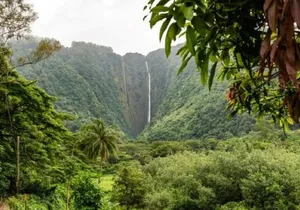 VIP Private Limousine Tour: Scenic Oahu Island Sites