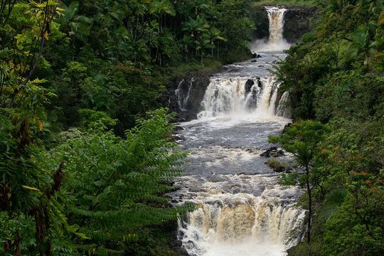 Umauma Triple Tier Waterfall Rappel and River Tour