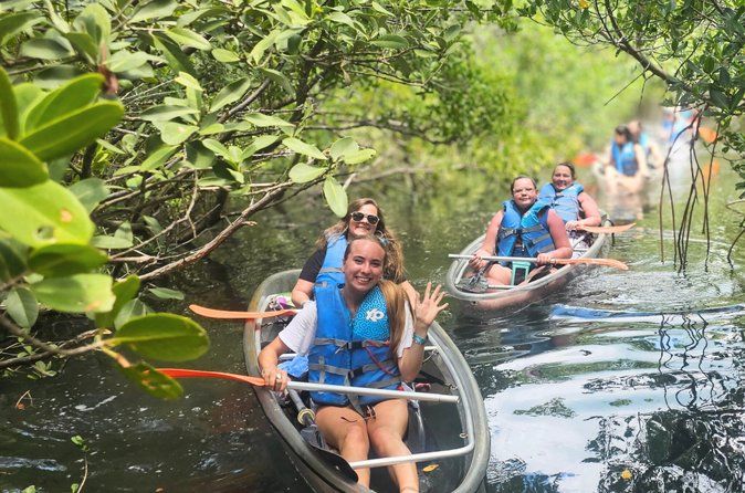 2 Hour Clear Kayak Mangrove Tunnel Eco Tour in Sarasota