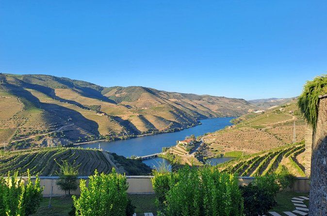 Porto to Douro Valley Private Wine Tour with Sommelier, full-day