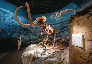 1 Day of Dinosaurs and Hoodoos From Calgary to the Drumheller